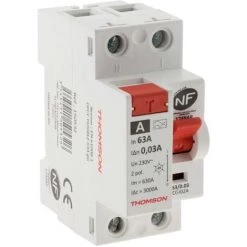 Le moins cher ???? Interrupteur Différentiel à Vis - 63A Type A NF - Thomson ????